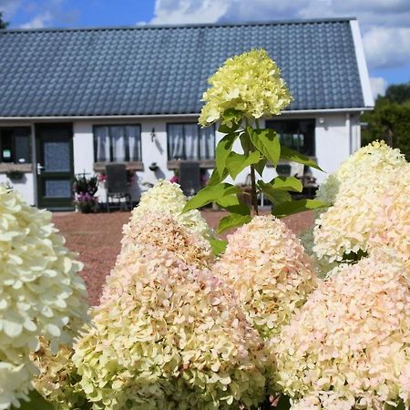 Sfeervol Appartement Het Knooppunt Nuis Luaran gambar